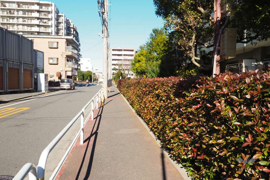 敷地西側の前面道路