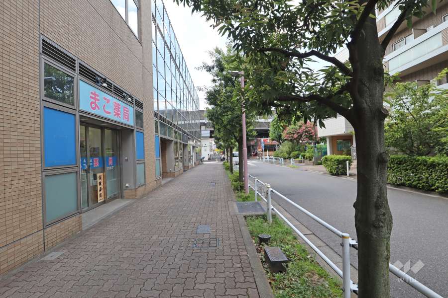 敷地北西側の前面道路（北東側から）