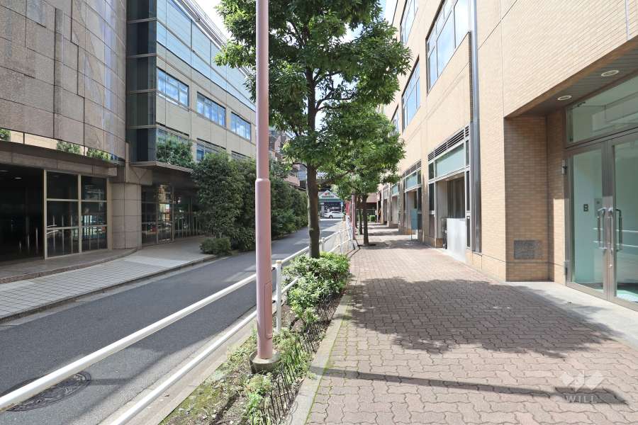 敷地の南東側の前面道路（北東側から）