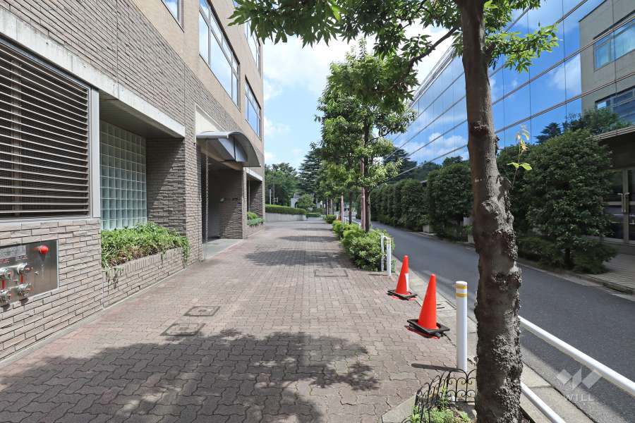 敷地南東側の前面道路（南西側から）