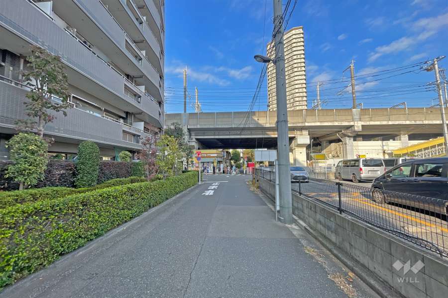 敷地東側の前面道路（南側から）