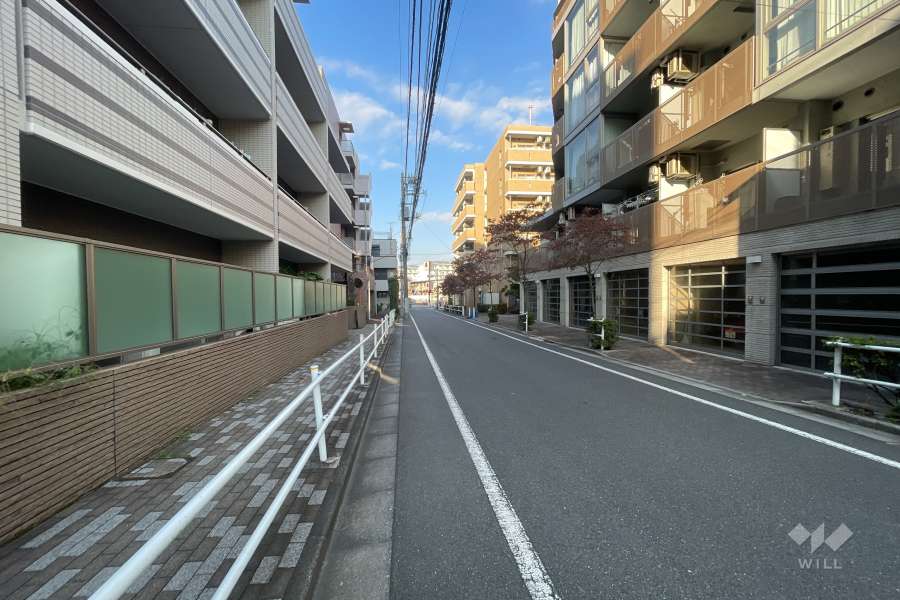 敷地南東側の前面道路（南西側から）