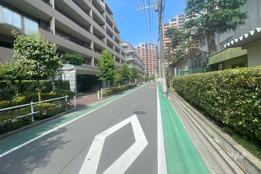 敷地南側の前面道路　