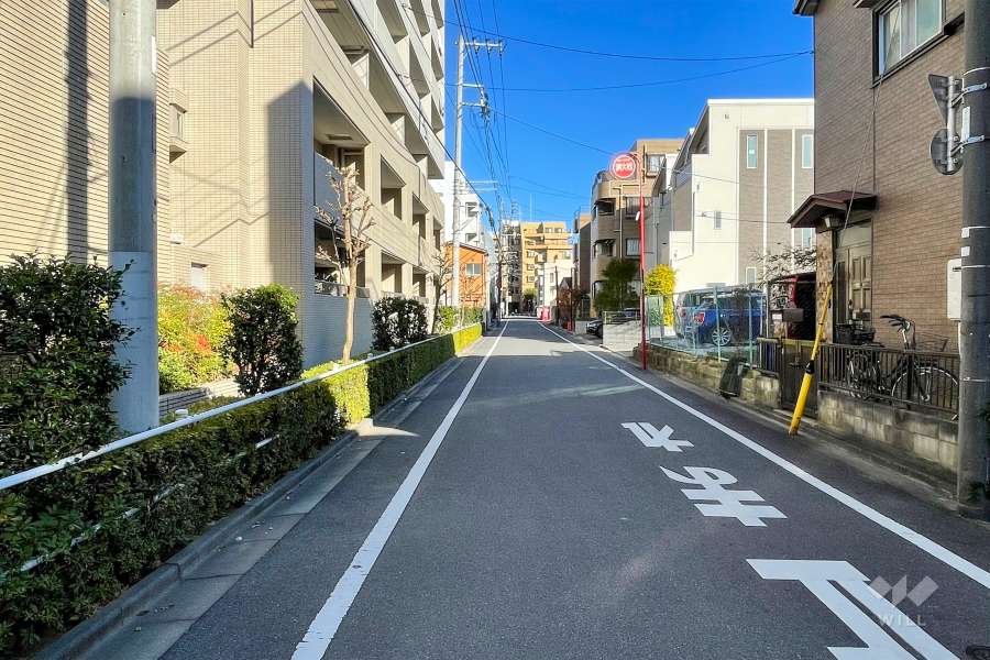敷地南側の前面道路（西側から）