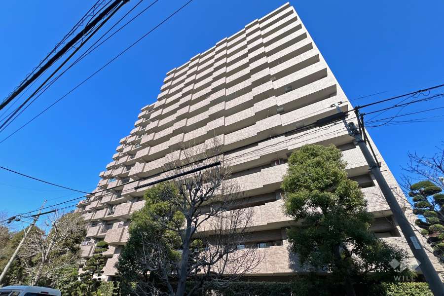 パークハイツ小豆沢の外観（南西側から）