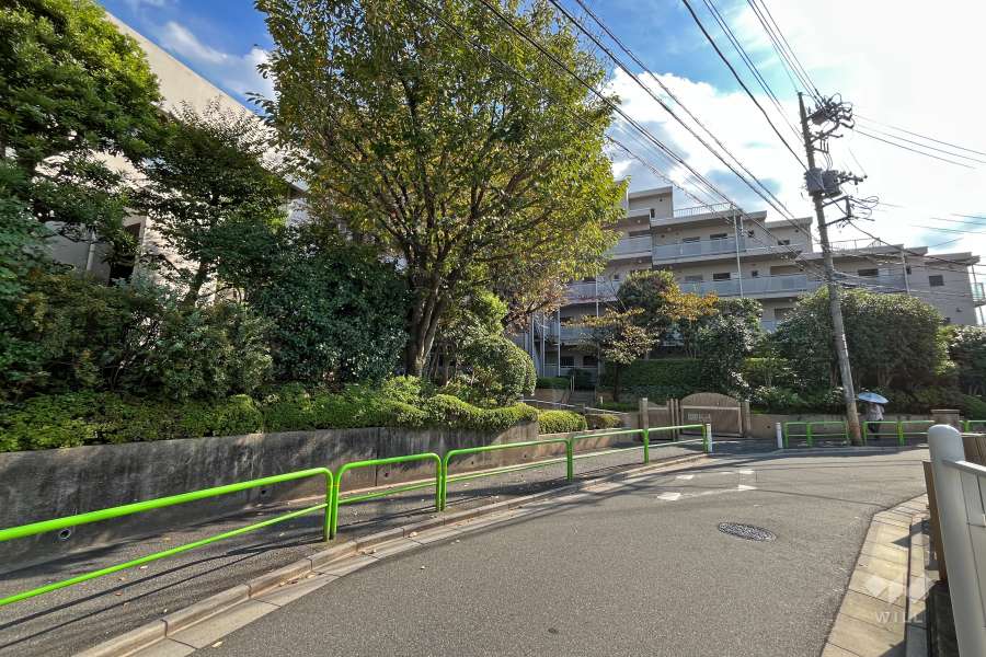 敷地西側の前面道路（北側から）