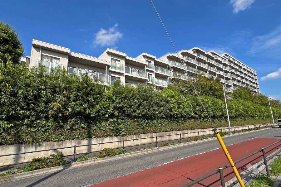 パルシティ徳丸の外観（南西側から）