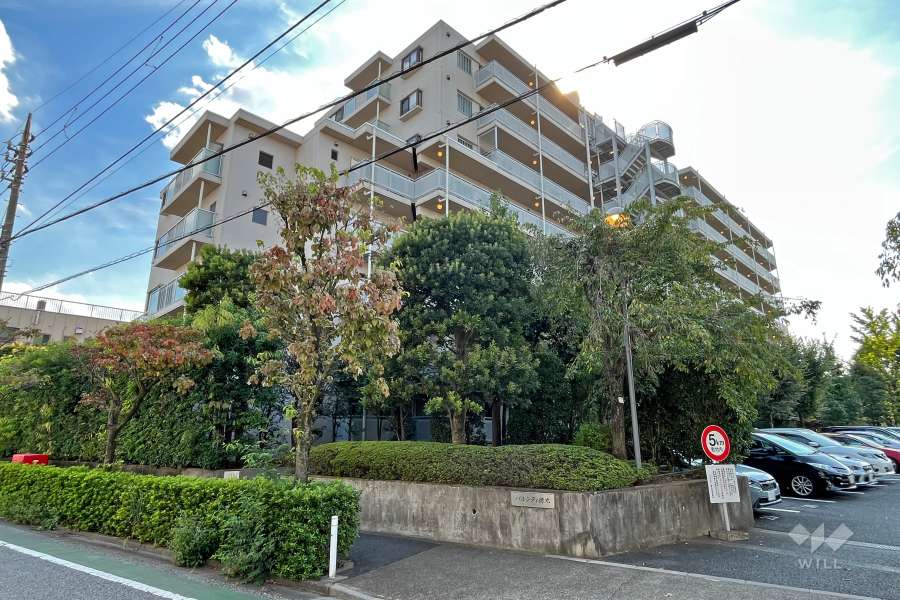 パルシティ徳丸の外観（北東側から）