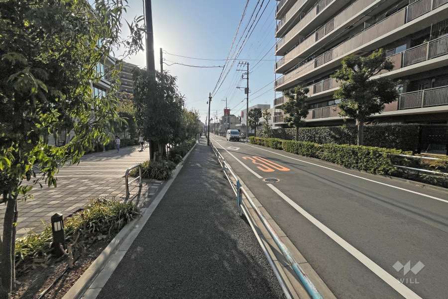 敷地南側の前面道路（東側から）