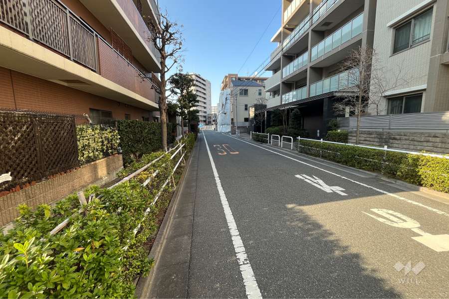 敷地東側の前面道路（南側から）