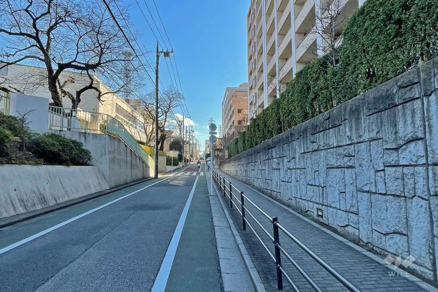 敷地東側の前面道路（北側から）
