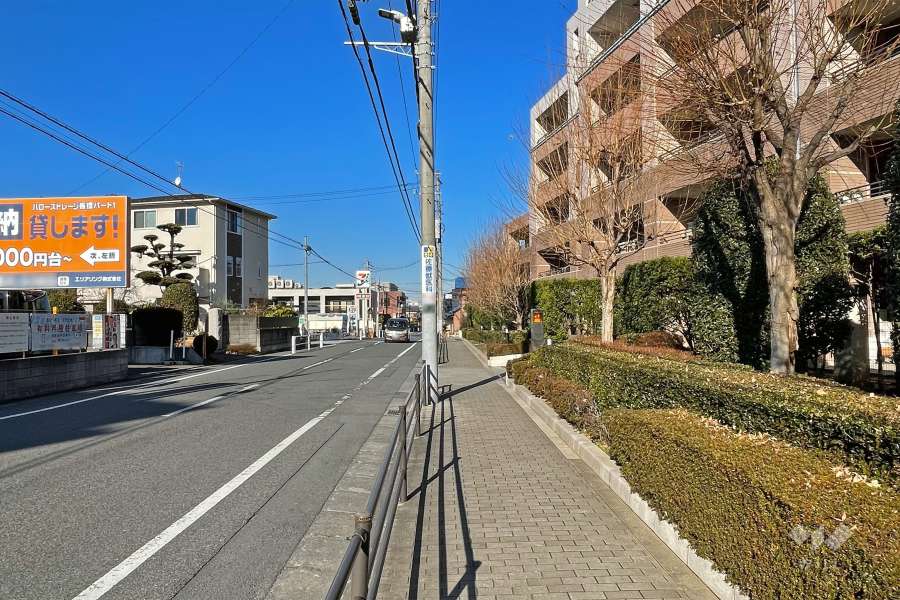 敷地西側の前面道路（南側から）
