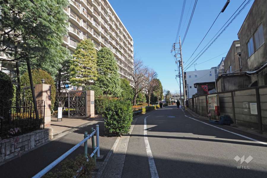 敷地南側の前面道路（西側から）