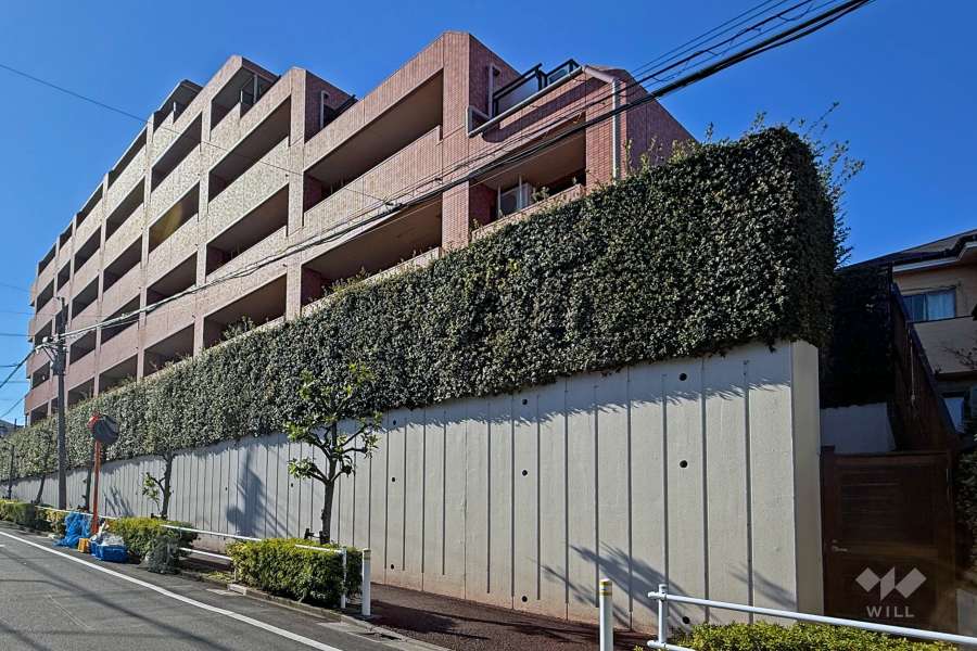 ライオンズガーデン東武練馬壱番館の外観（東側から）