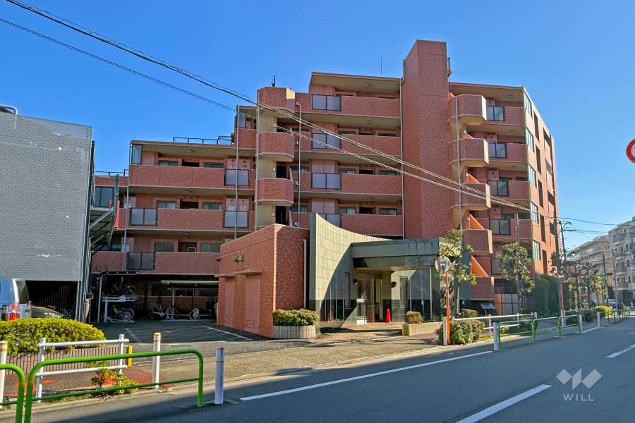 ライオンズガーデン東武練馬壱番館の外観（北側から）