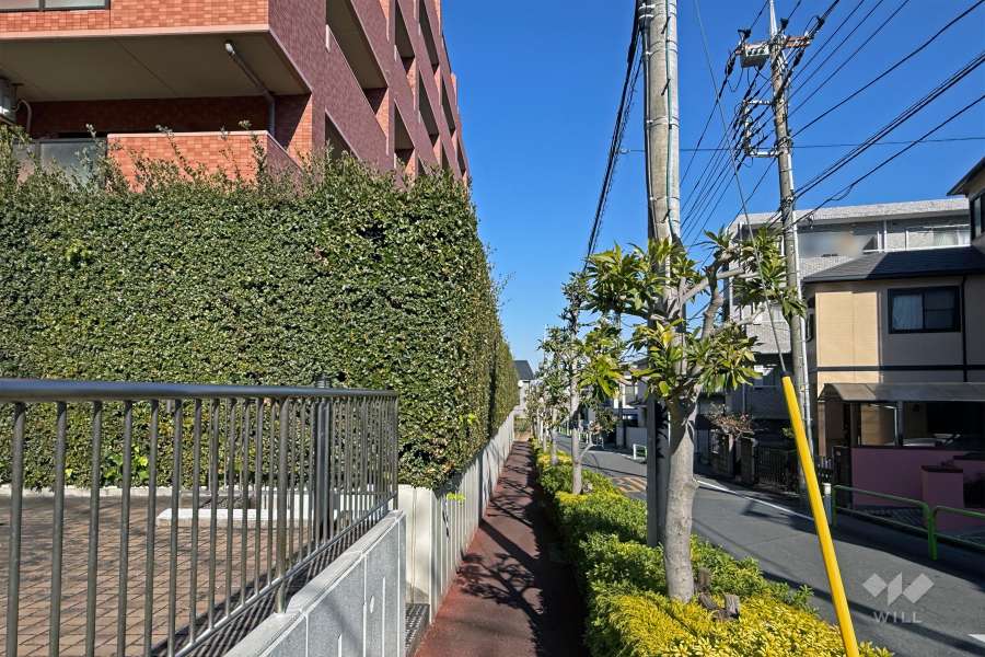 敷地の南東側前面道路（南西側から）