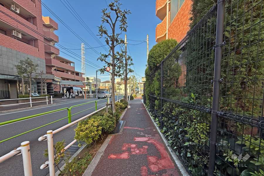 敷地の西側前面道路（南側から）