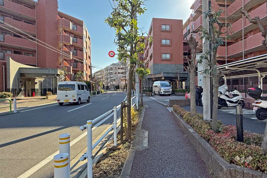 敷地東側の前面道路（北側から）