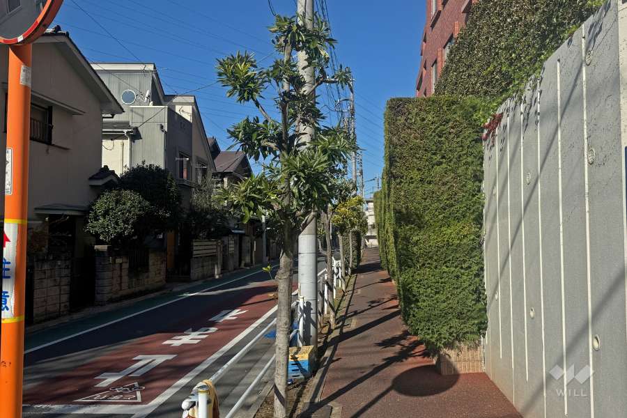 敷地西側の前面道路（南側から）