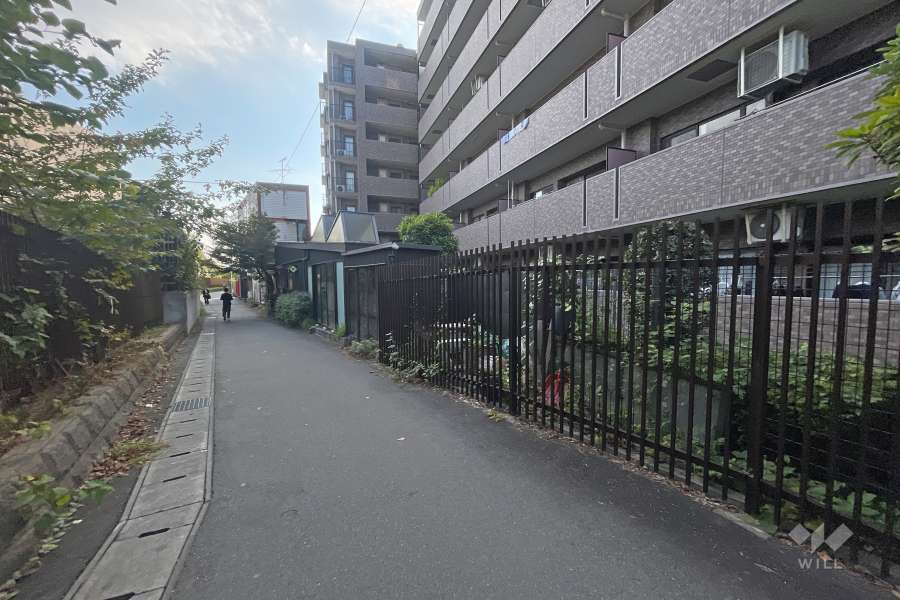 敷地東側の前面道路（北側から）