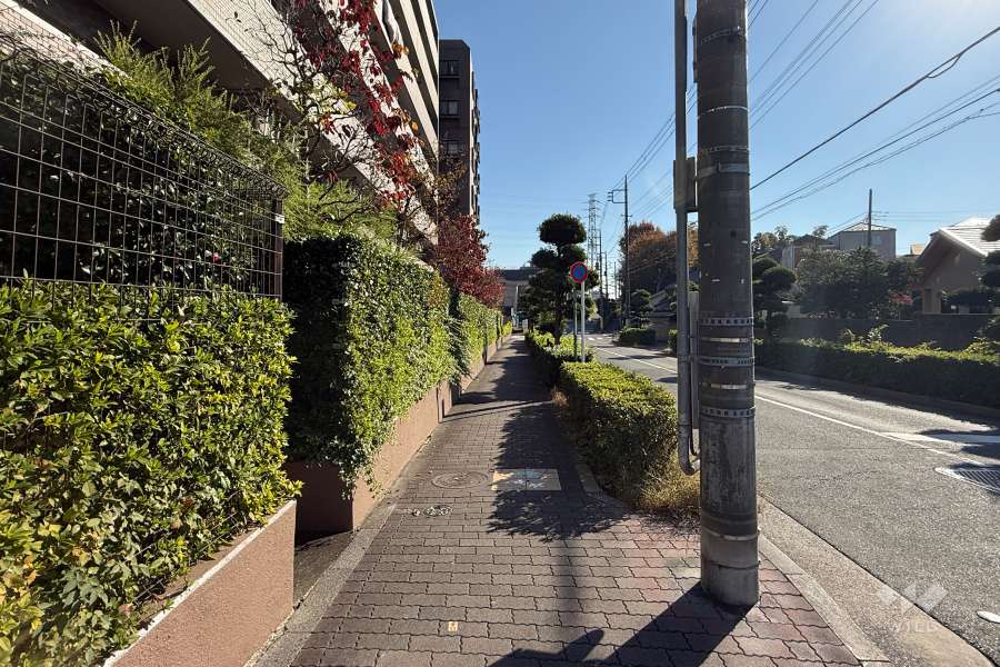 敷地の西側前面道路（北側から）