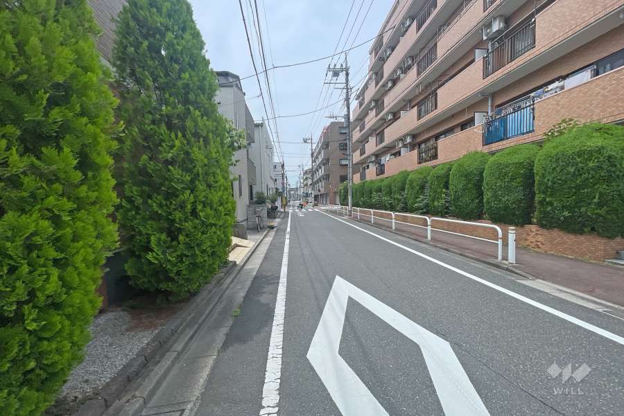 敷地南側の前面道路（東側から）