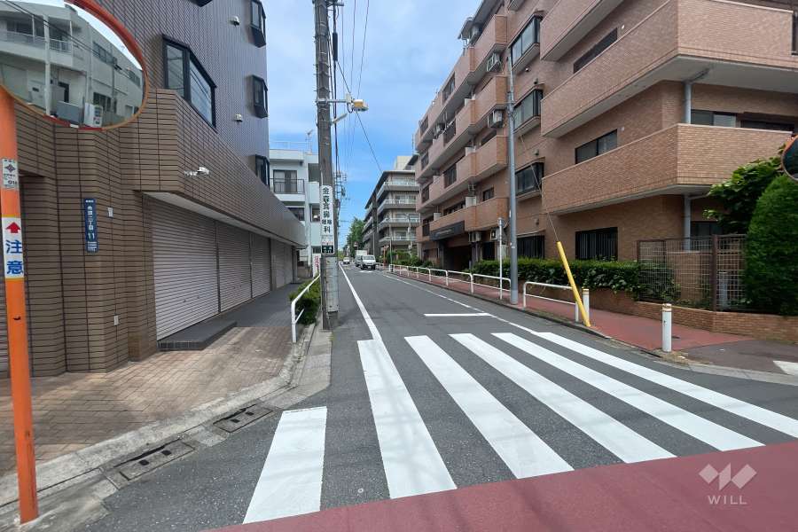 敷地西側の前面道路（南側から）