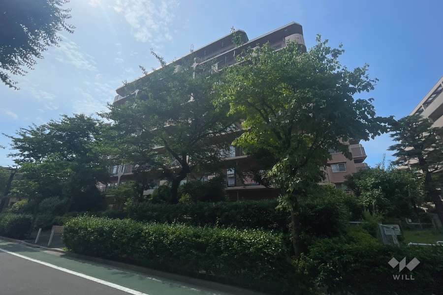 小豆沢サンハイツの外観（南東側から）