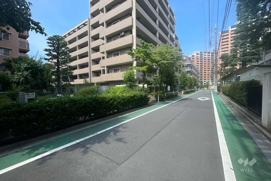 敷地南側の前面道路