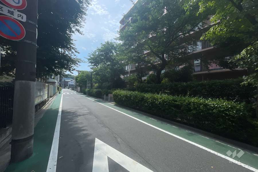 敷地南側の前面道路　