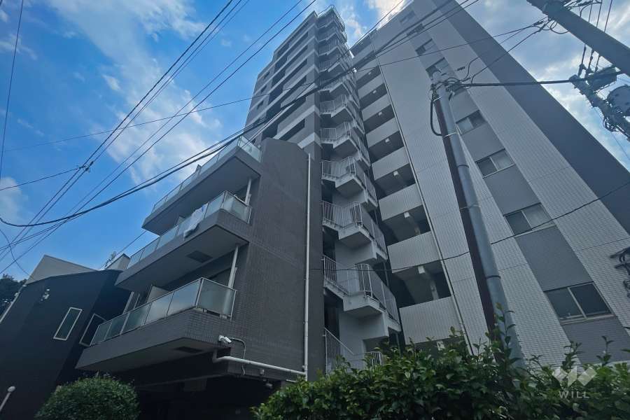 メセーヌの外観（北東側から）