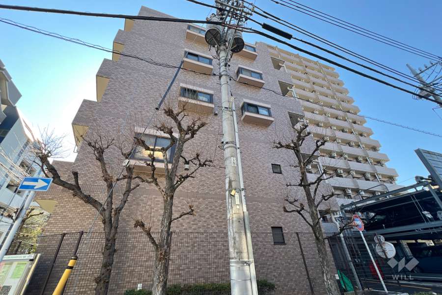 ライオンズプラザ本蓮沼の外観（東側から）