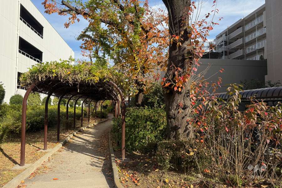 敷地北側の前面道路