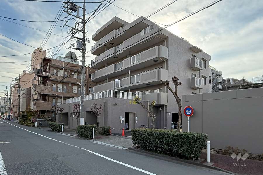 ライネスハイム志村の外観（北東側から）