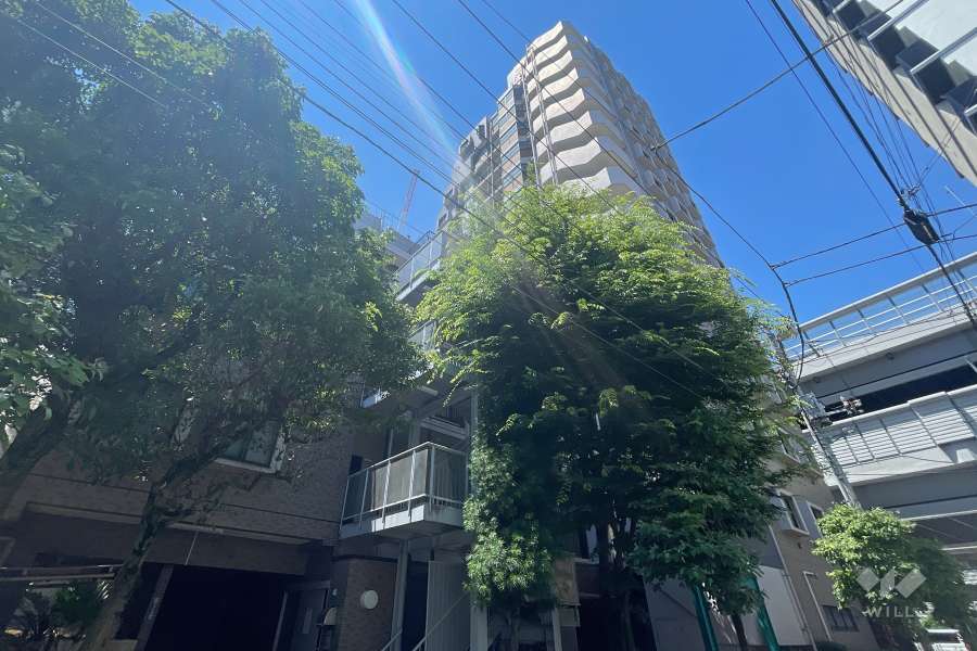 ナイスアーバン池袋山手通りの外観（北東側から）