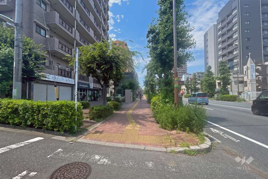 敷地の東側前面道路（南側から）