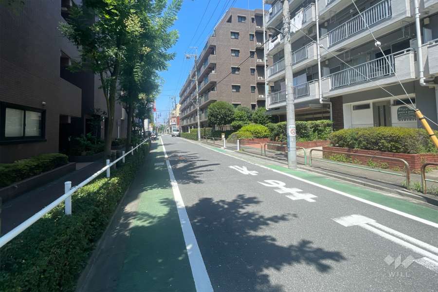 敷地の北側前面道路（東側から）