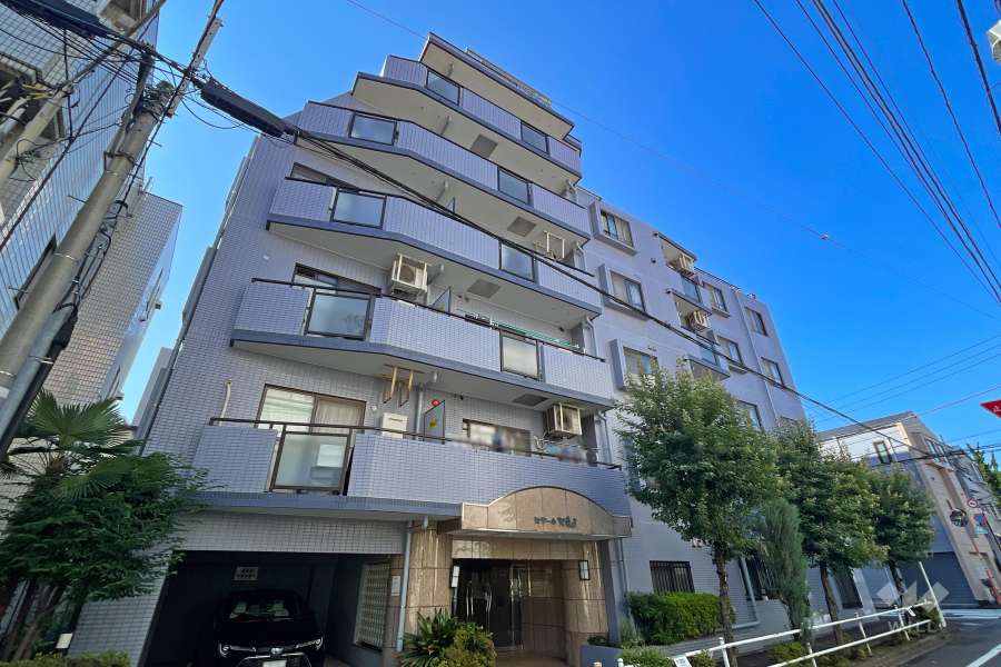 セザール池袋西の外観（北西側から）