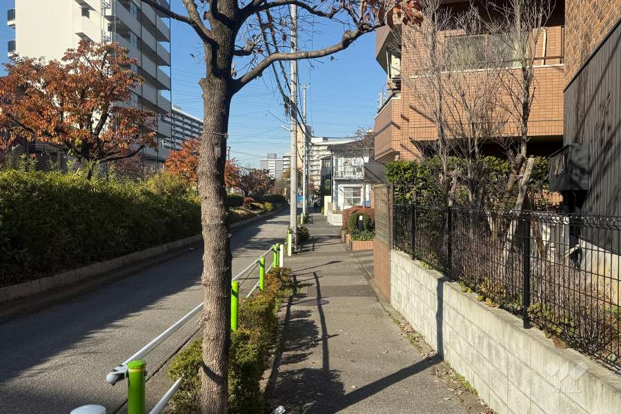 敷地の西側前面道路（南側から）