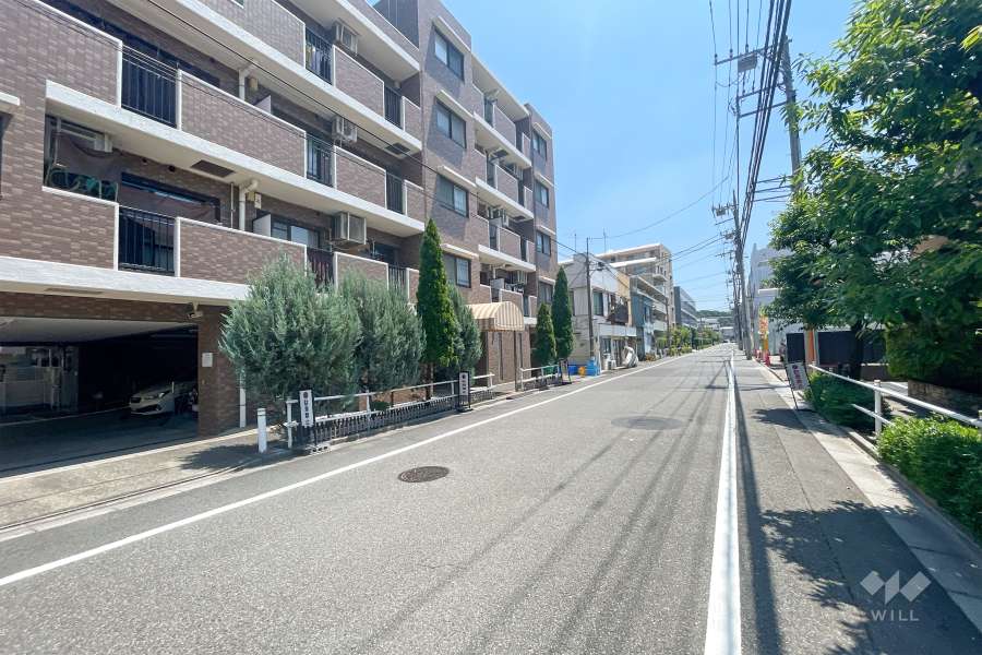 敷地西側の前面道路（北側から）