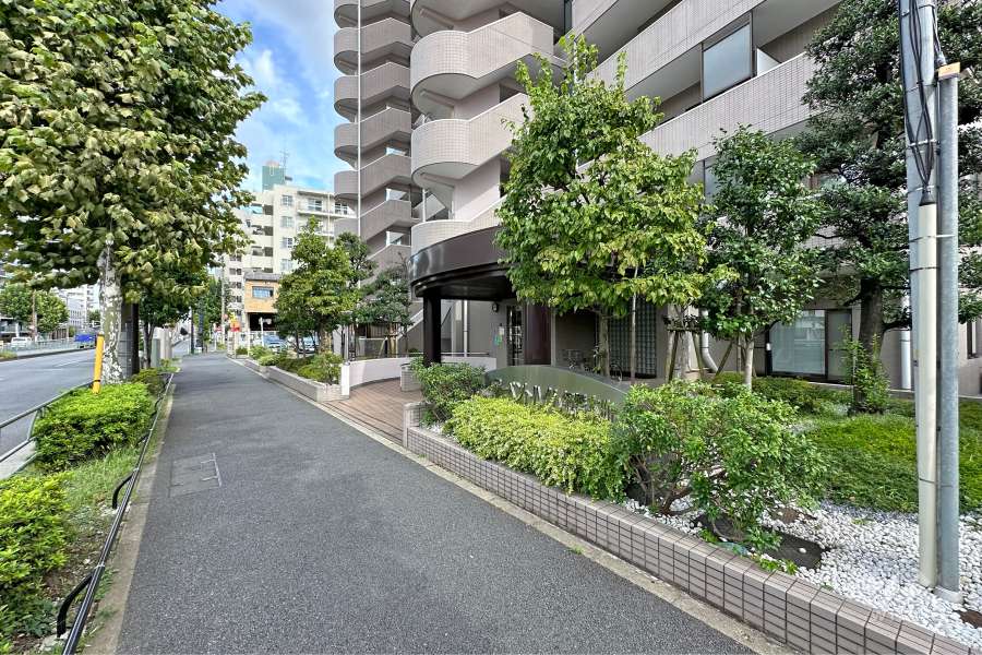 敷地北側の前面道路（西側から）