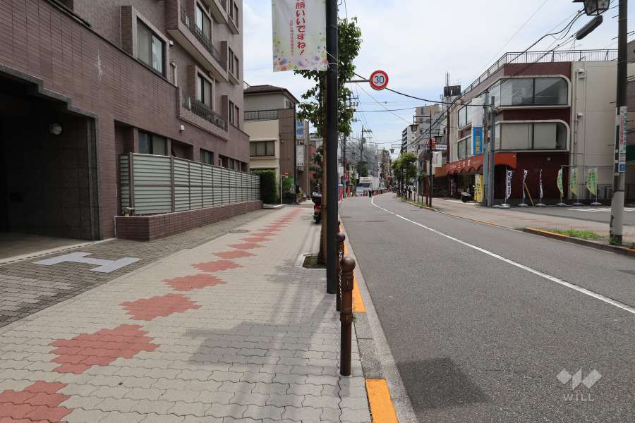 敷地西側の前面道路（北側から）