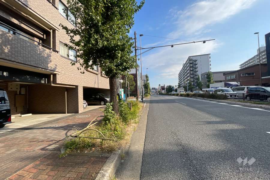 敷地南西側の前面道路（北西側から）