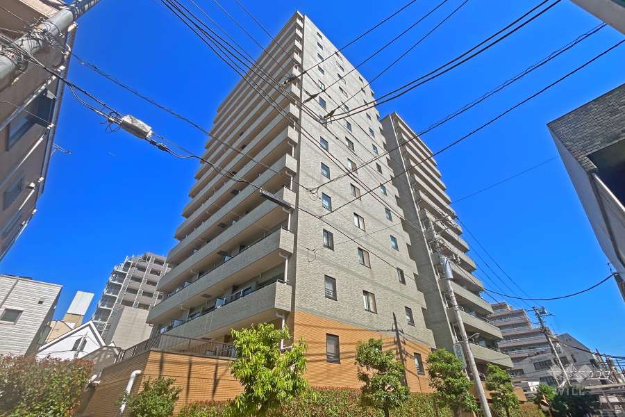 ダイアパレスエスタヴォール大山の外観（南東側から）