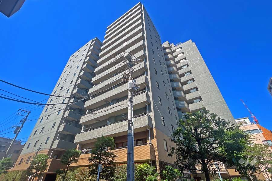 ダイアパレスエスタヴォール大山の外観（北東側から）