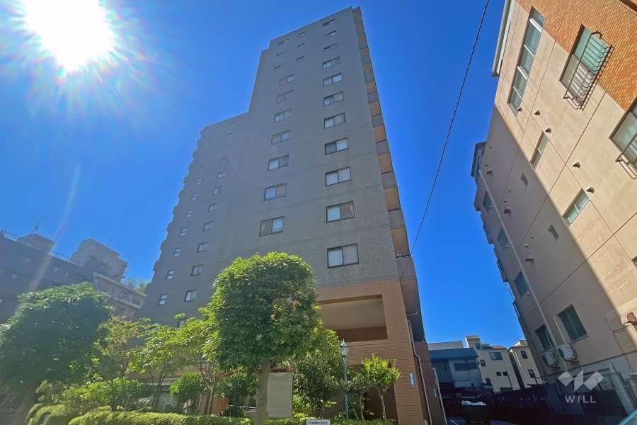 ダイアパレスエスタヴォール大山の外観（北西側から）