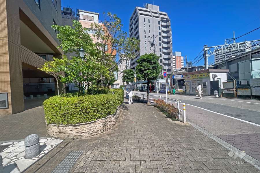 敷地の西側前面道路（北側から）