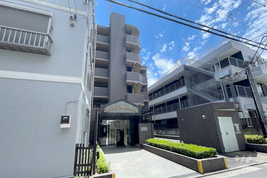 レーベンハイム中板橋2の外観（北東側から）