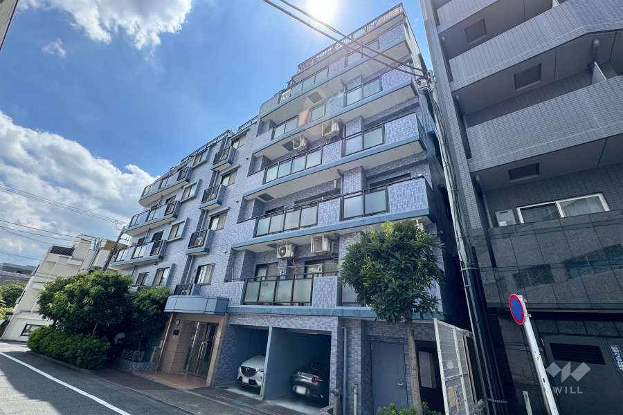 セザール板橋の外観（北東側から）