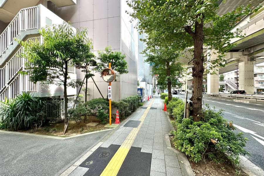 敷地の西側前面道路（北側から）